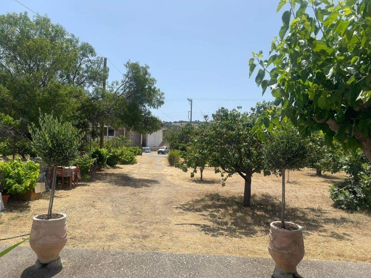 Aegean Endless Summer Villa Pefkos Pefki (Rhodes) Exterior foto